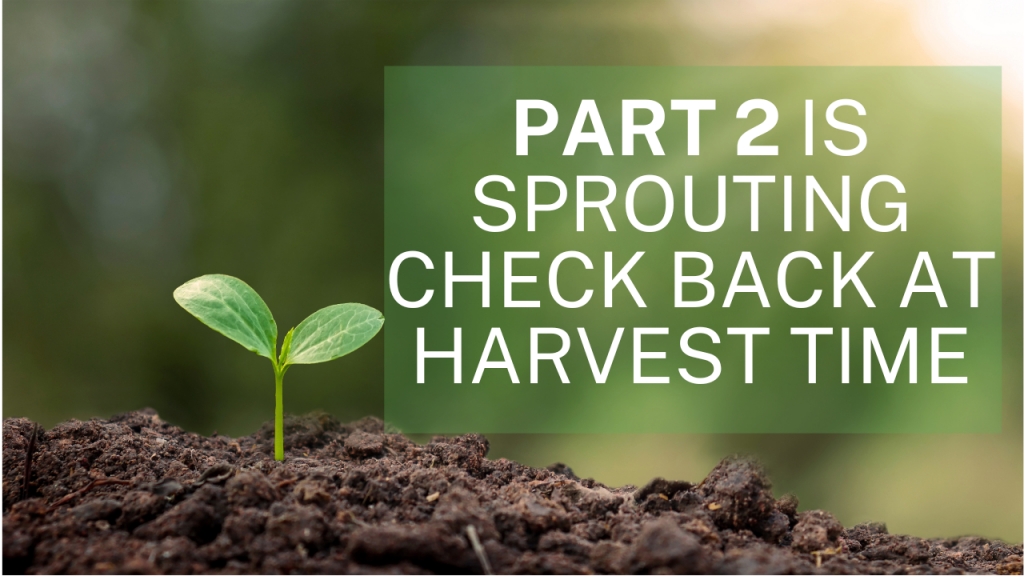 Part 2 Sprouting